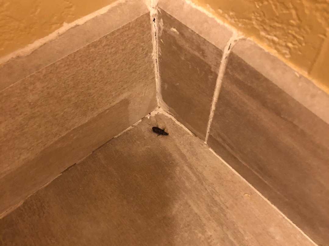 Turquoise Inn & Suites主图