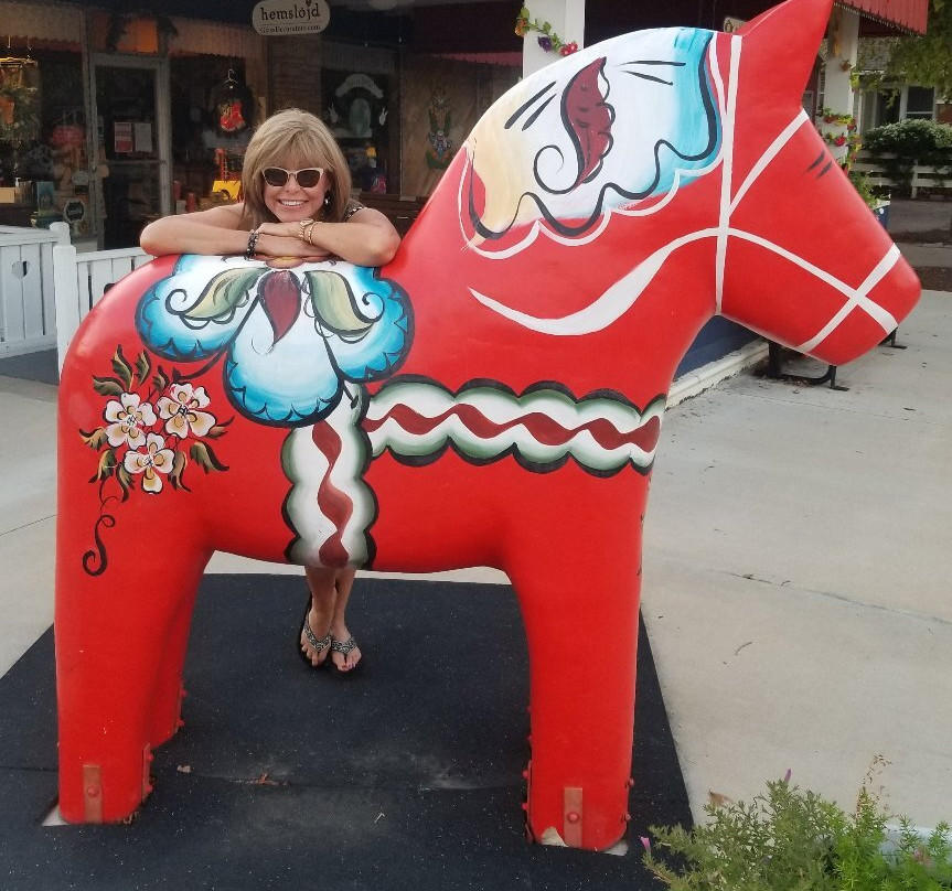 Wild Dala Horse Herd景点图片