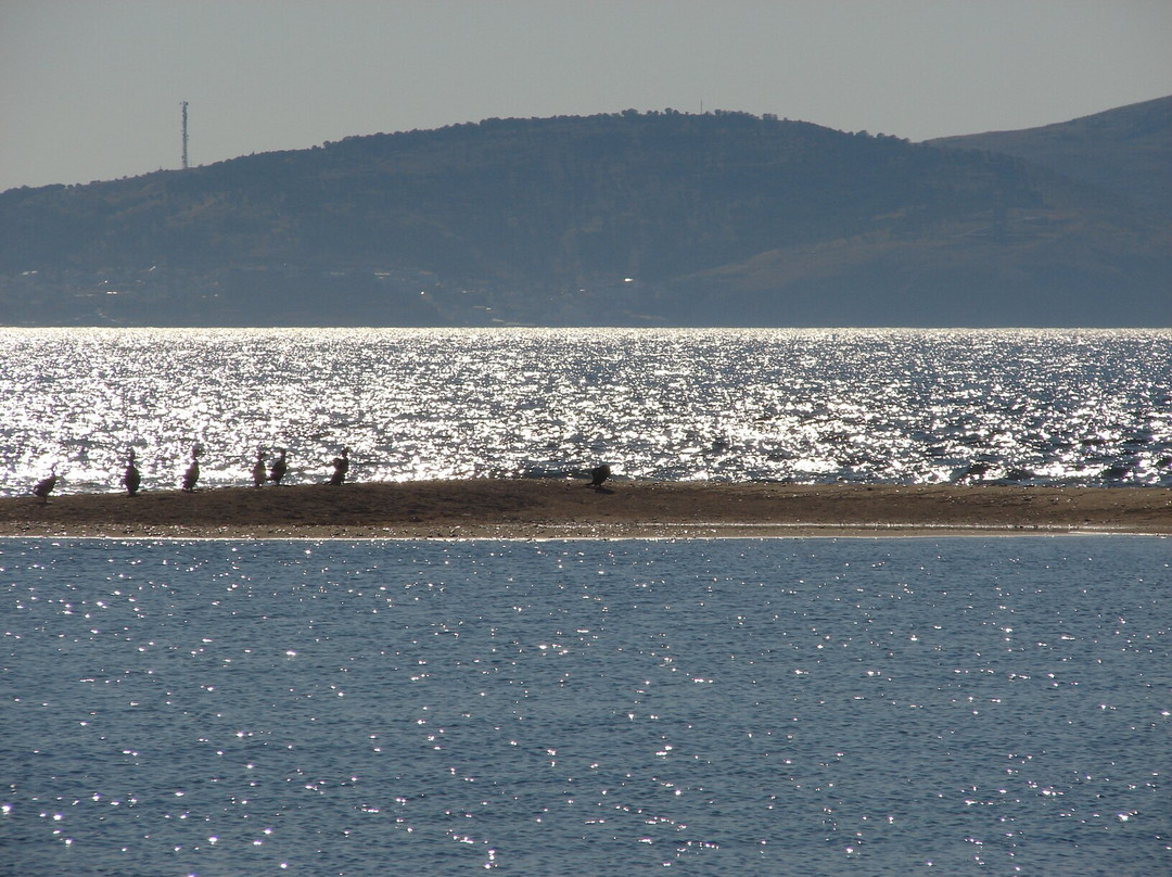 Kumburnu Beach景点图片