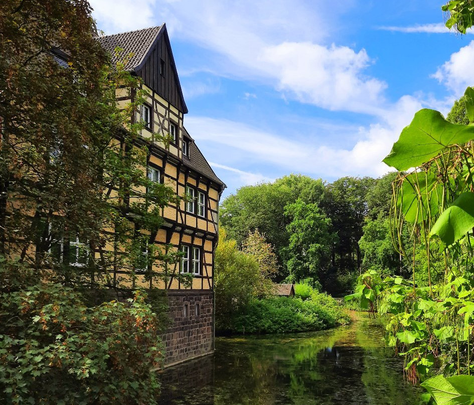 Wasserschloss Wittringen景点图片
