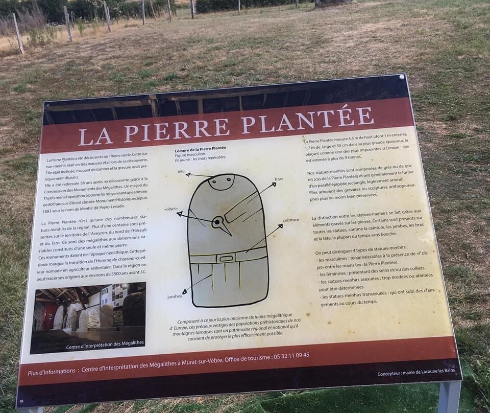 Statue-Menhir de la Pierre Plantée景点图片