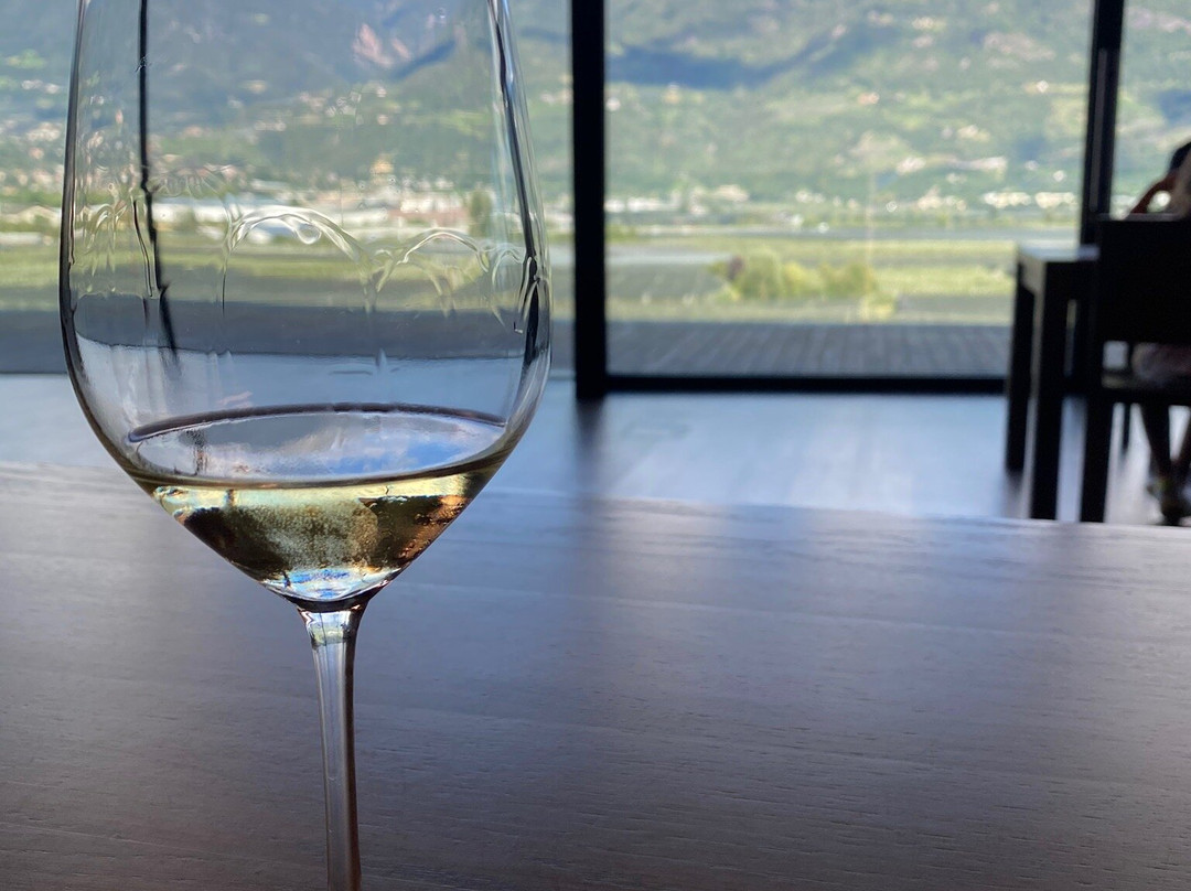 Cantina Merano Burggräfler景点图片