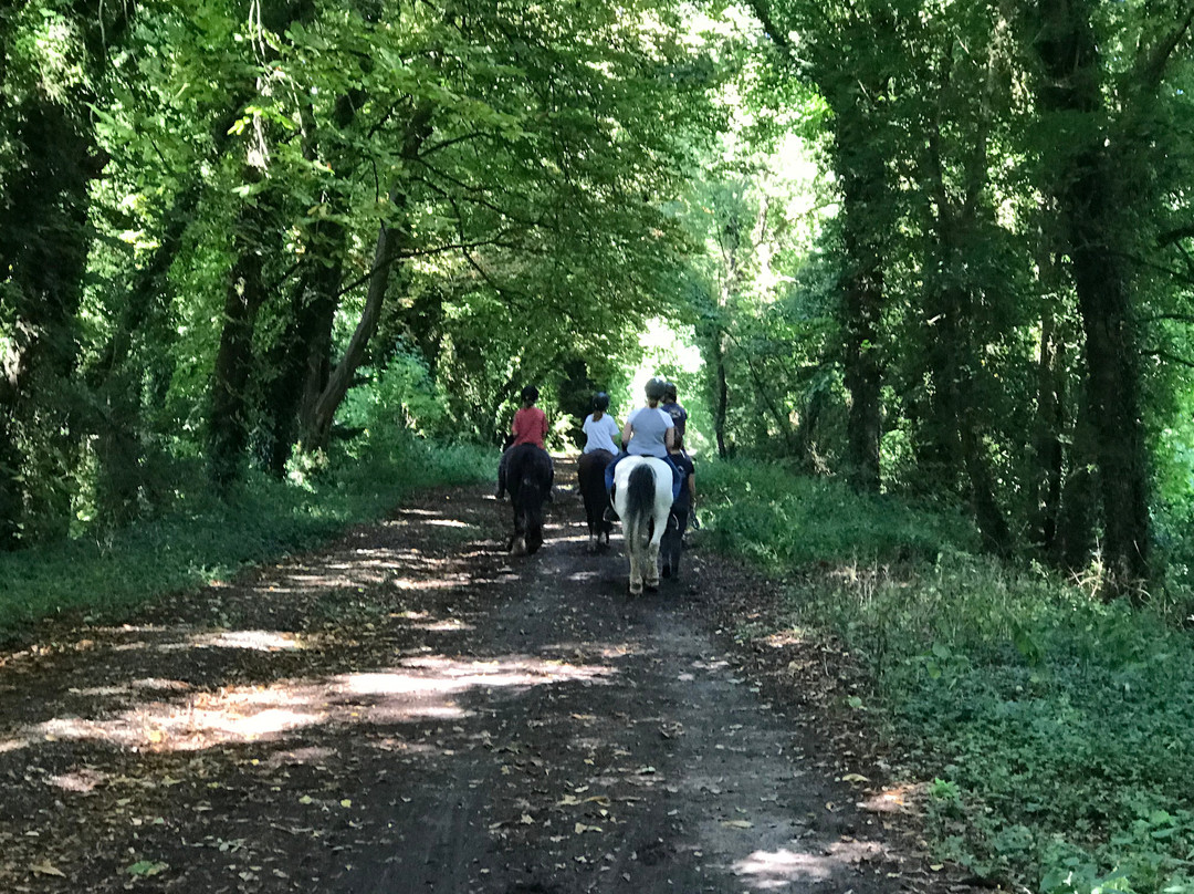 South Downs Trekking景点图片