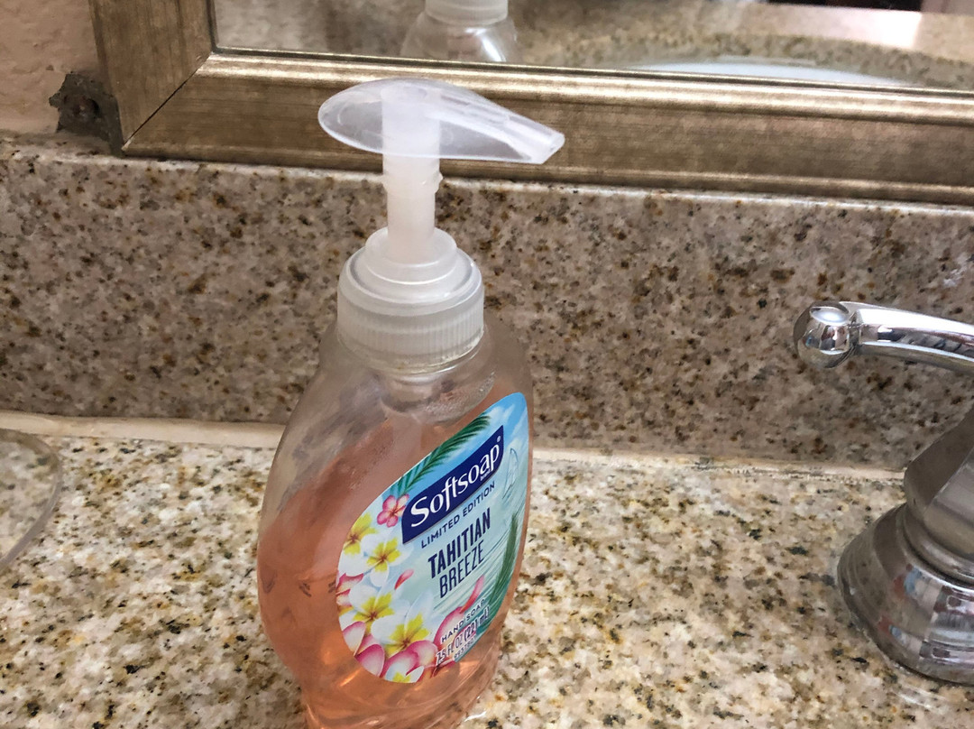 Econo Lodge Walterboro主图