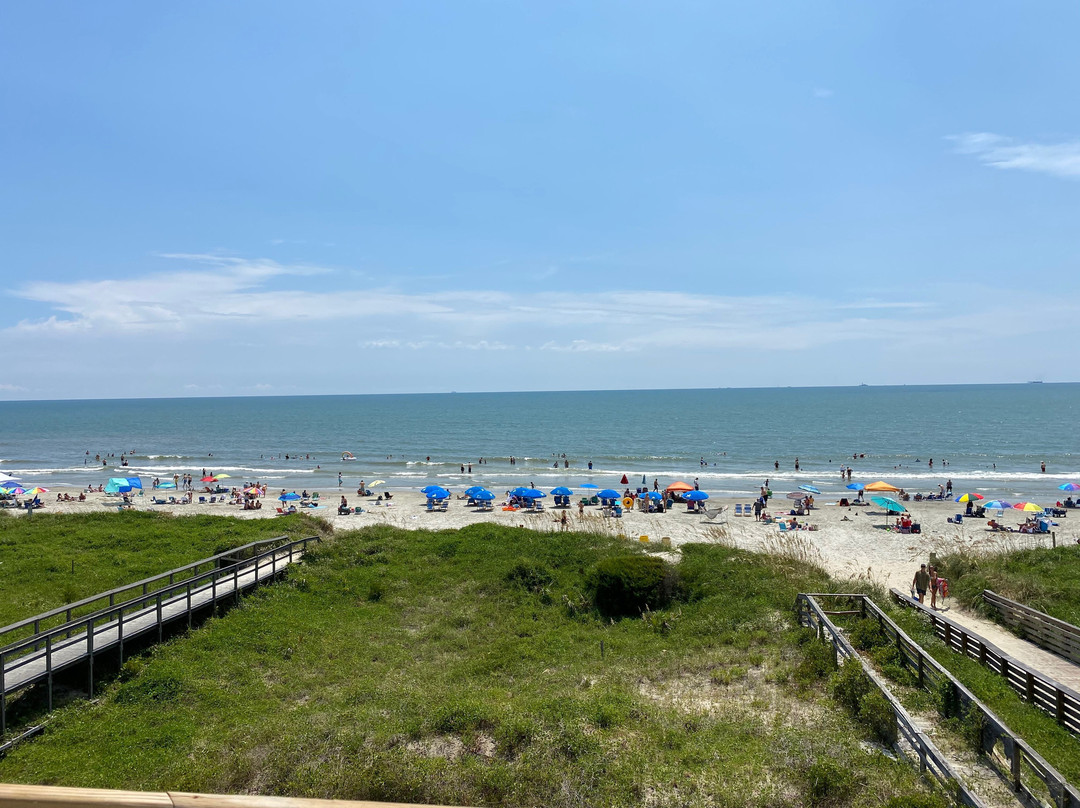 棕榈林海滨酒店主图