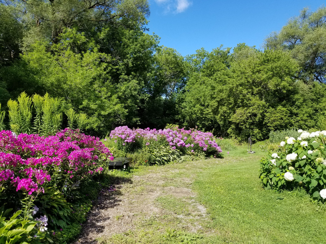 Coldwater Canadiana Heritage Museum景点图片