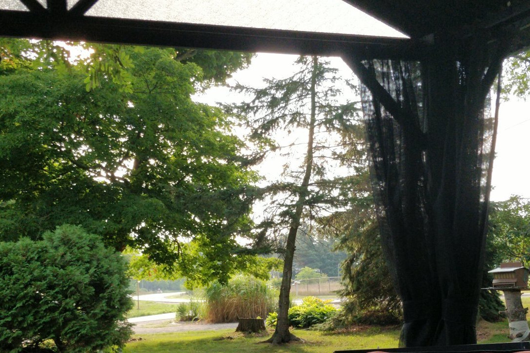 The Miller's House Bed and Breakfast主图