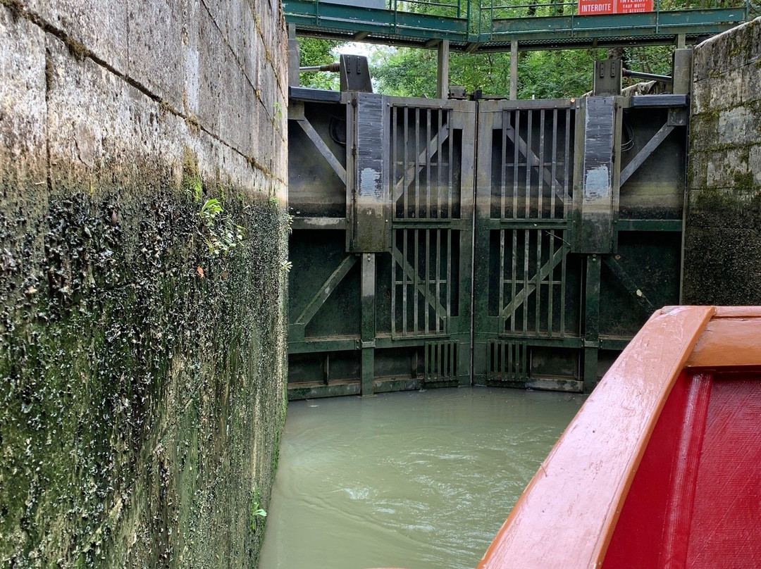 Les Croisières du Prince Henry景点图片