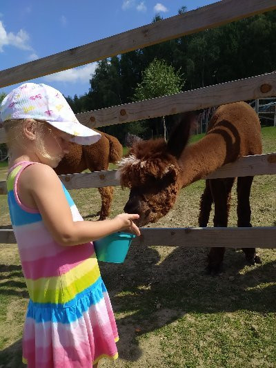 Happy Alpaca-Lachowice必去景点