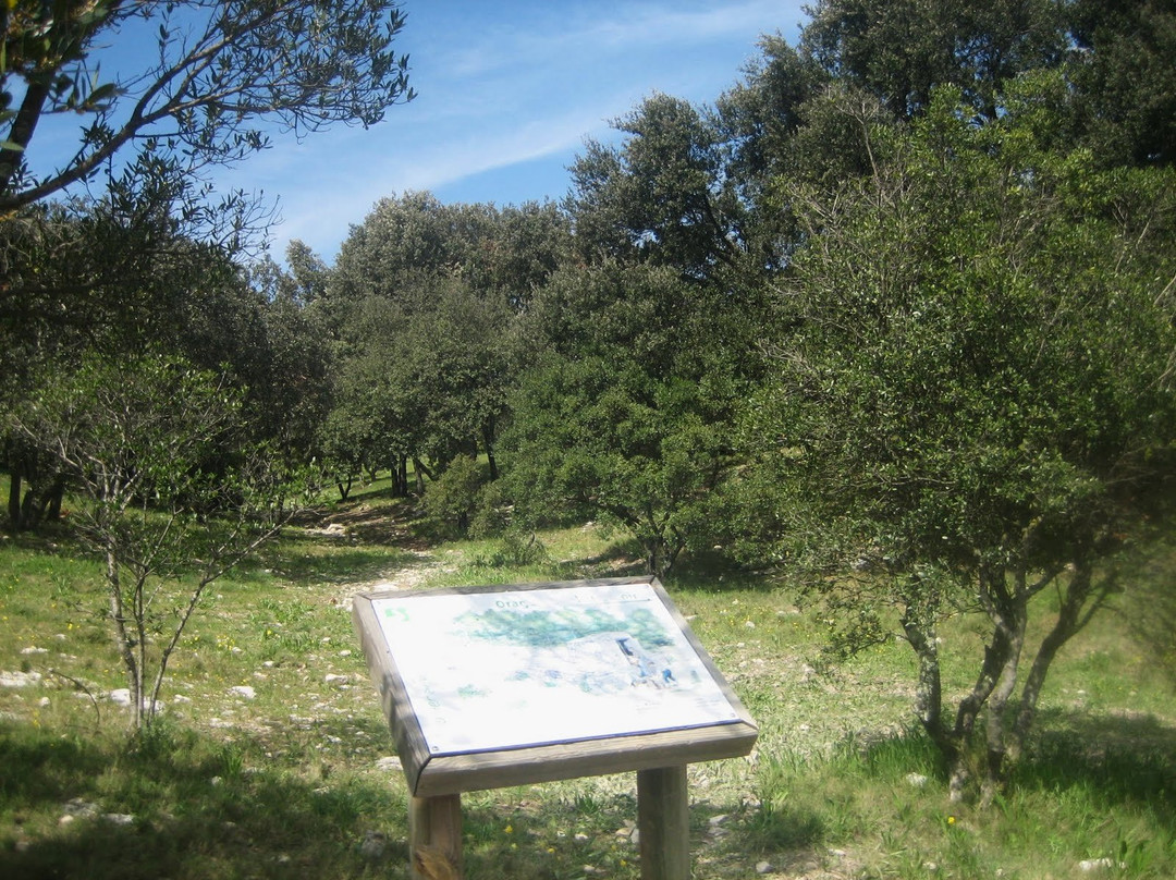 Bois de Espeisses景点图片