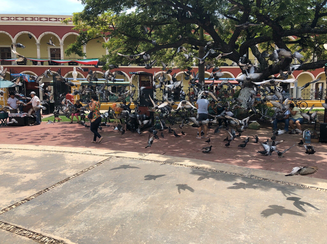 Plaza de la Independencia-坎佩切州必去景点