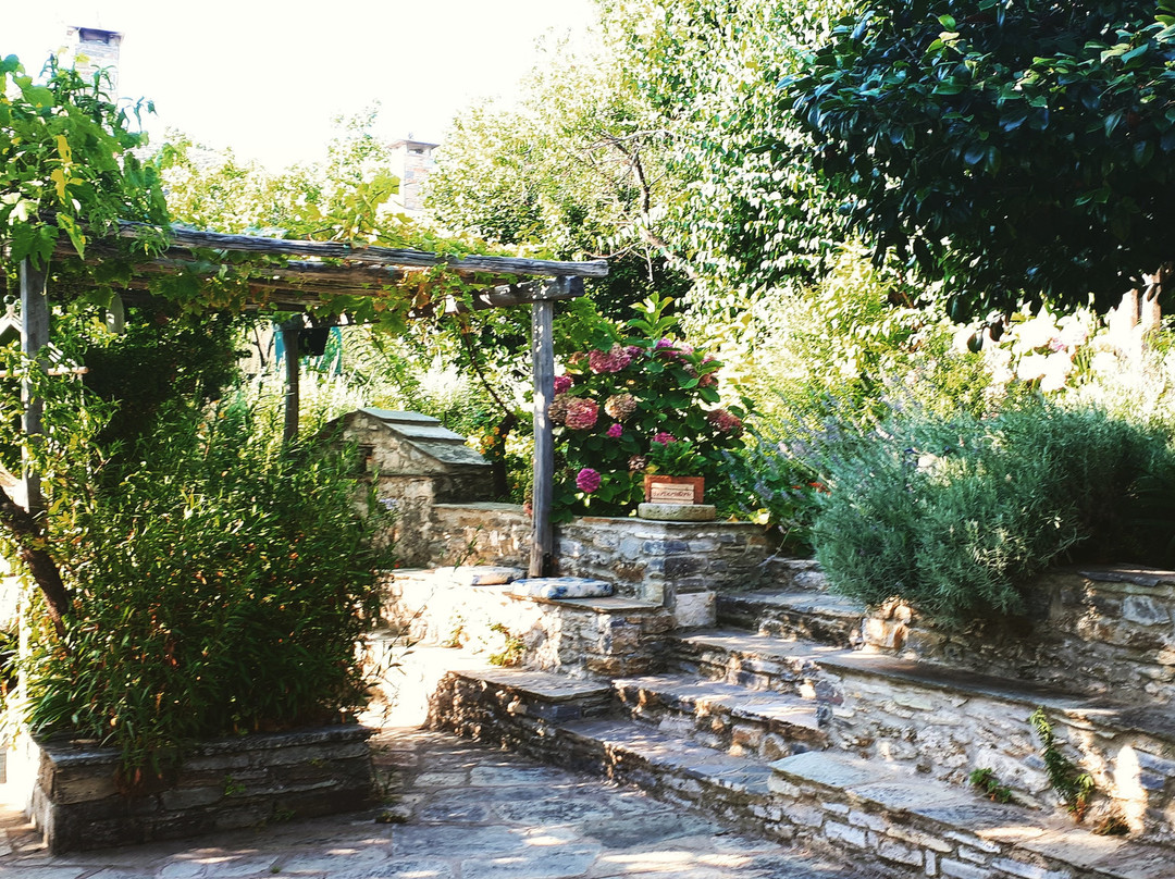 Αrnica Montana主图