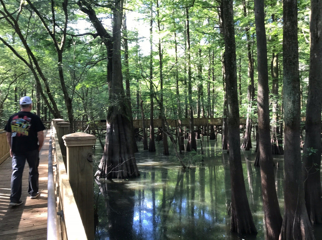 Mississippi Delta-Belzoni必去景点