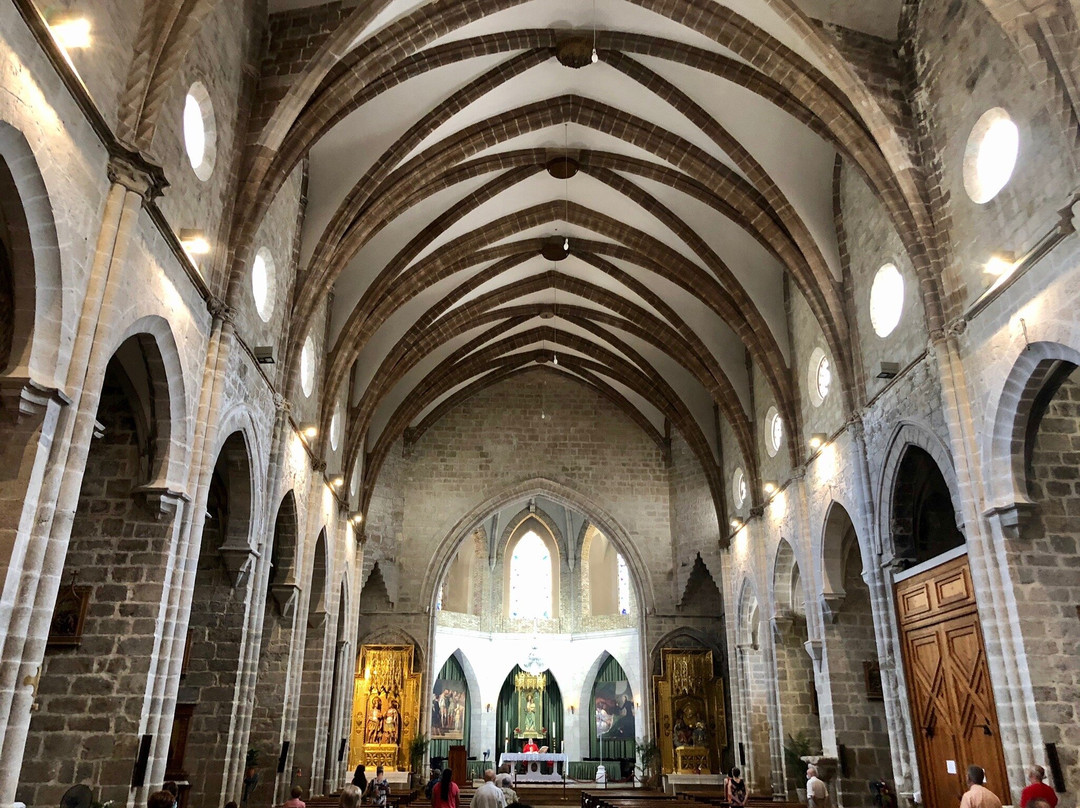 Insignia Collegiate Church of Gandía景点图片