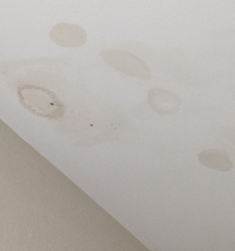 Quality Inn & Suites主图