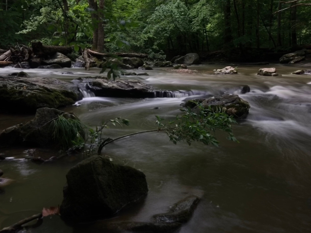 Ridley Creek State Park-梅迪亚必去景点