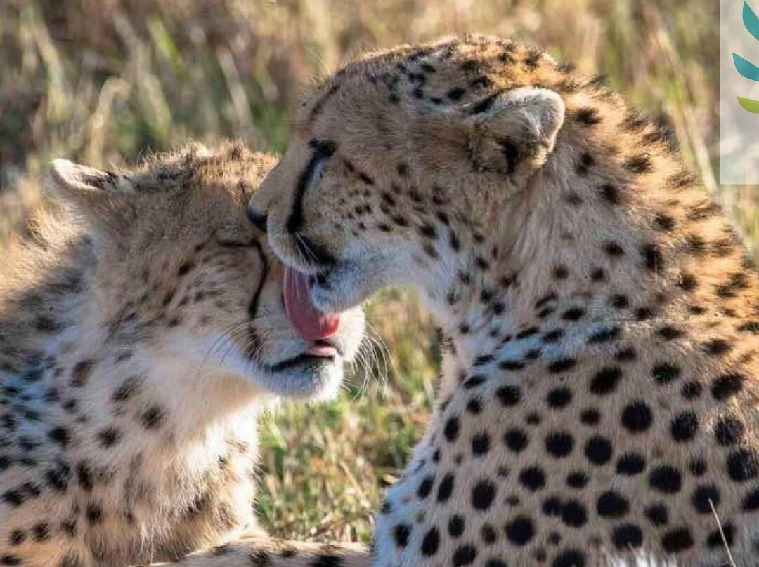 null-Kidepo Valley National Park