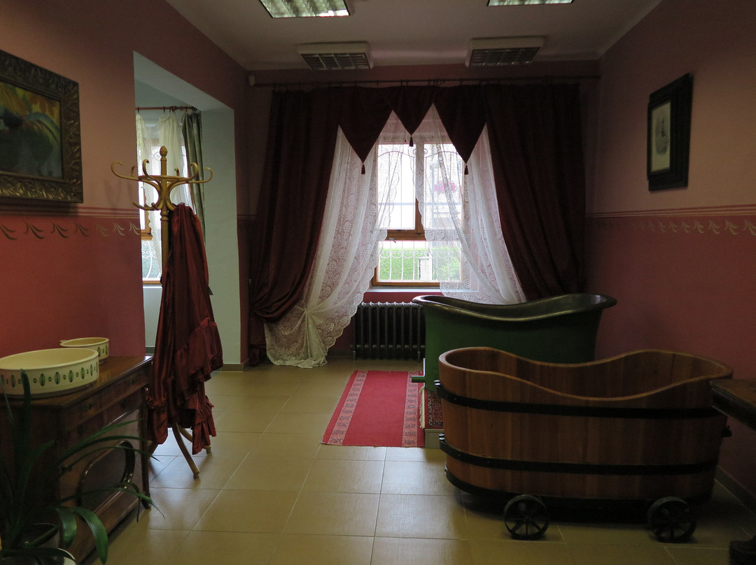 Městské Muzeum Františkovy Lázně景点图片
