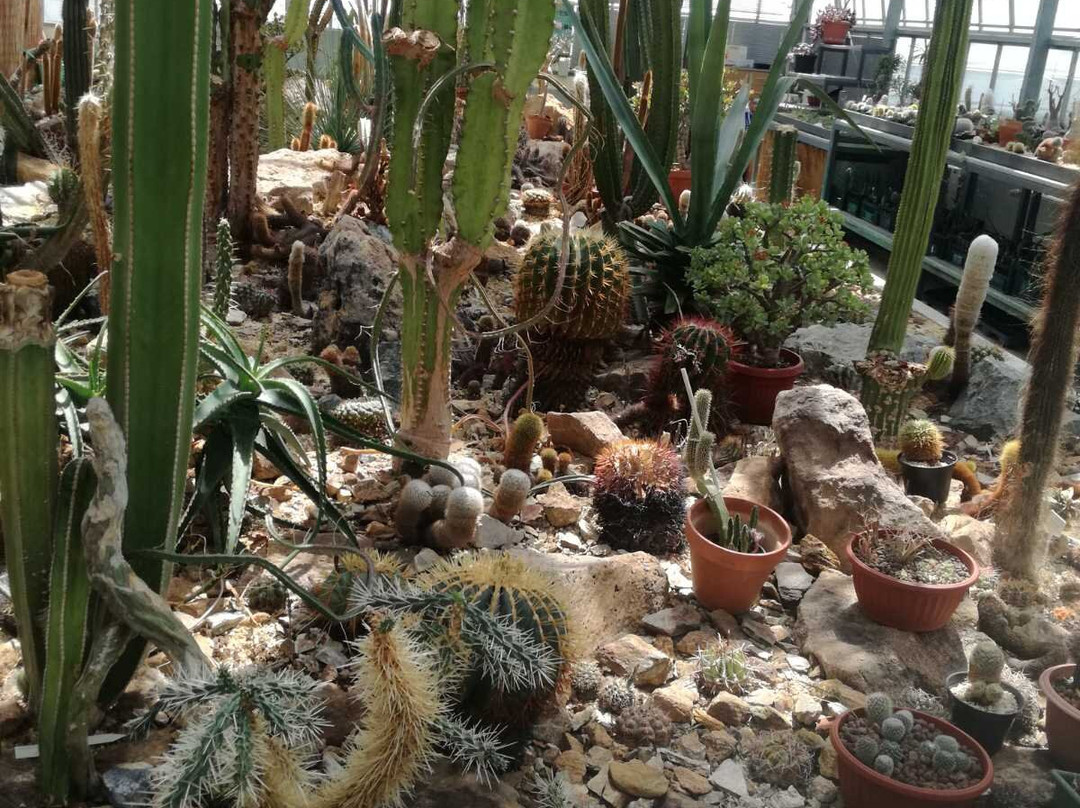 Cacti Pavilion-Rogaska Slatina必去景点