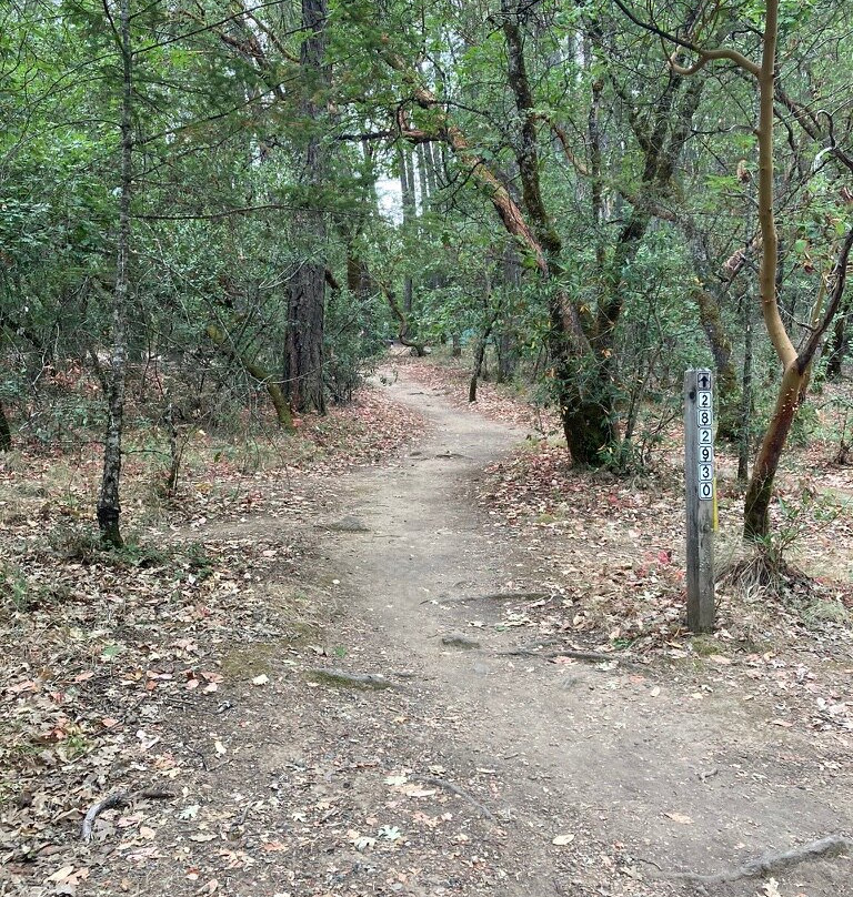 Bothe-Napa State Park景点图片