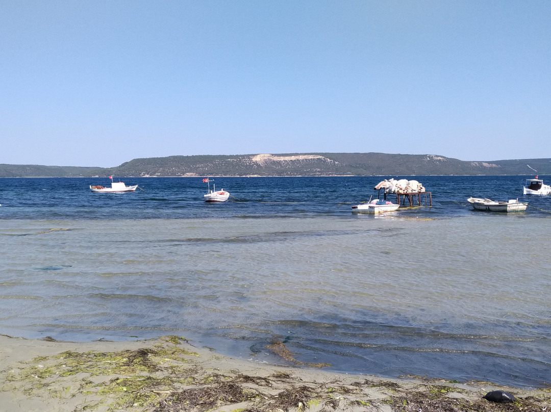 Dardanos Plajı景点图片