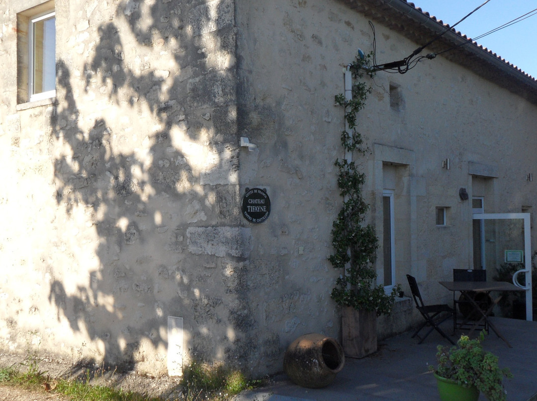 Les Secrets de Tifayne主图