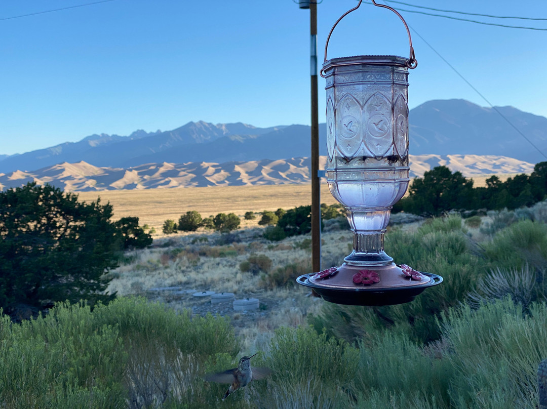 Great Sand Dunes Lodge主图
