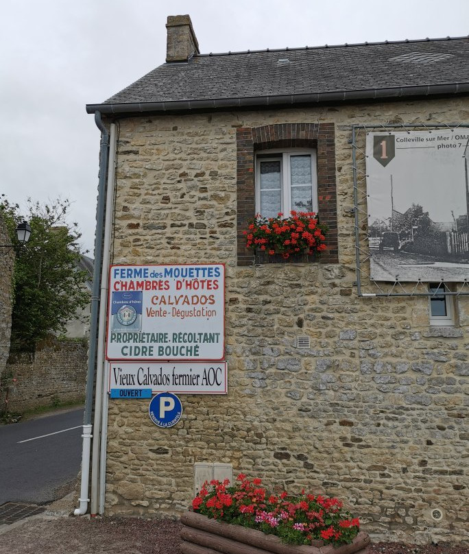 Les Mouettes主图