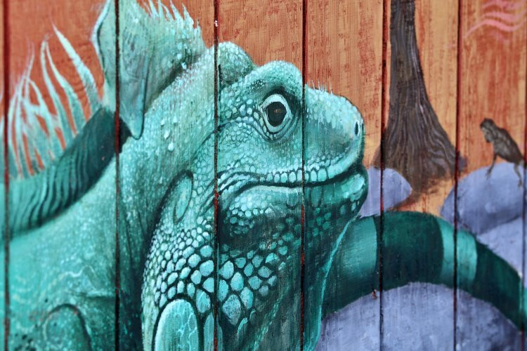 Folsom City Zoo Sanctuary-佛森必去景点