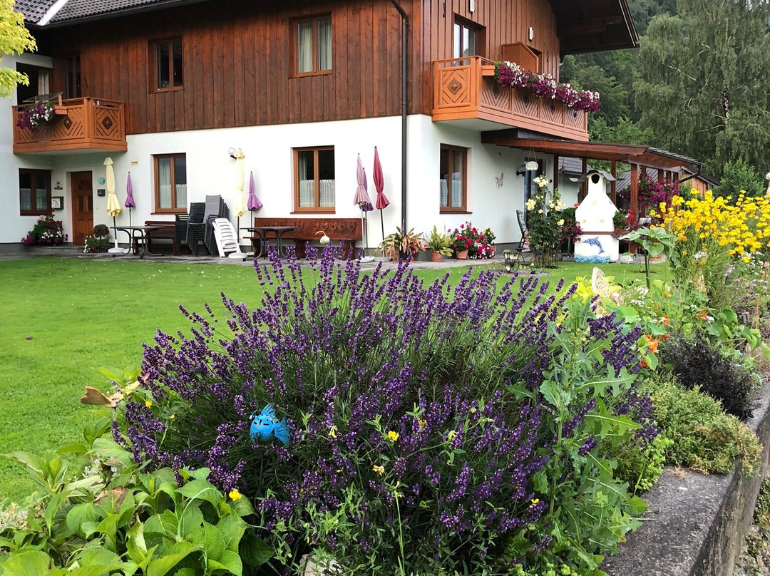 Seehof Haus主图