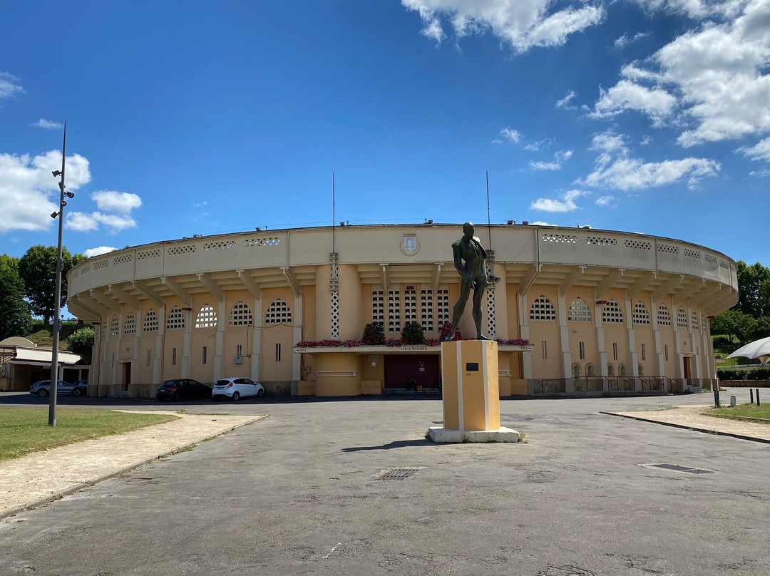 Arénes du Plumaçon景点图片
