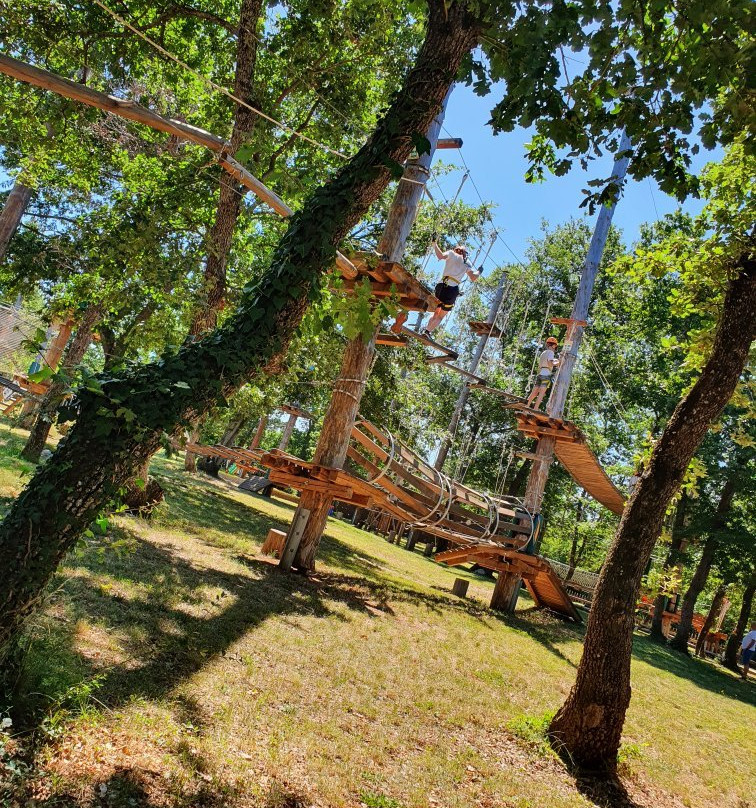 Adventure Park Sky Fox-波雷奇必去景点