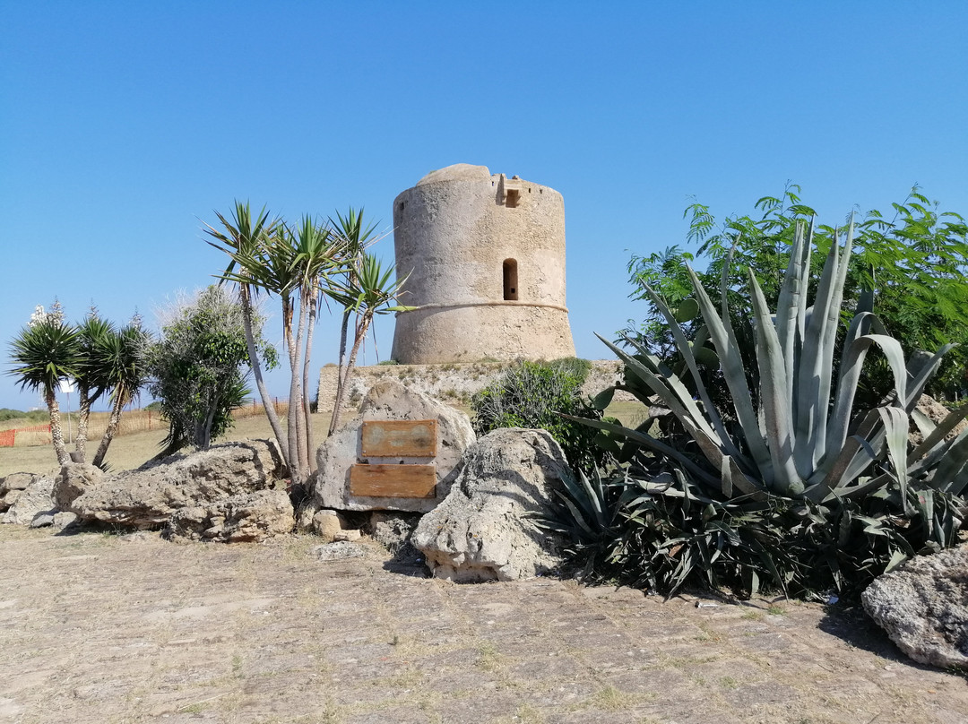Torre Vecchia-Isola di Capo Rizzuto必去景点