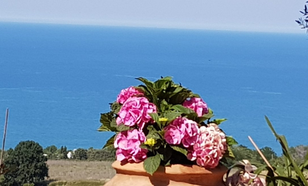 Bed and Breakfast La Terrazza Sul Mare主图