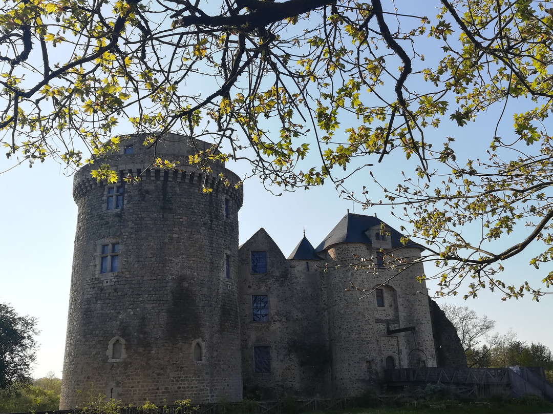 Château Saint Mesmin景点图片