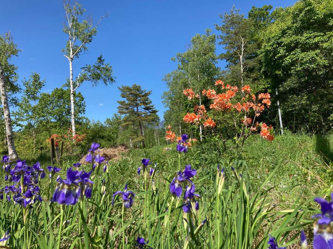 Yatsugatake Natural & Culture Park-原村必去景点
