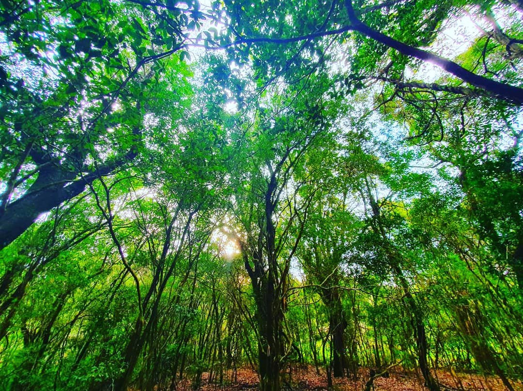 Trekkers Cascavel - Ecoturism-Cascavel必去景点