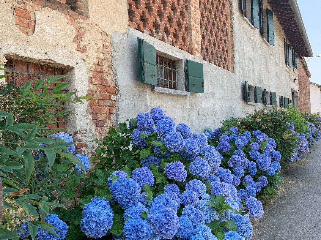 Cascina Sant'Albino di Mortara景点图片