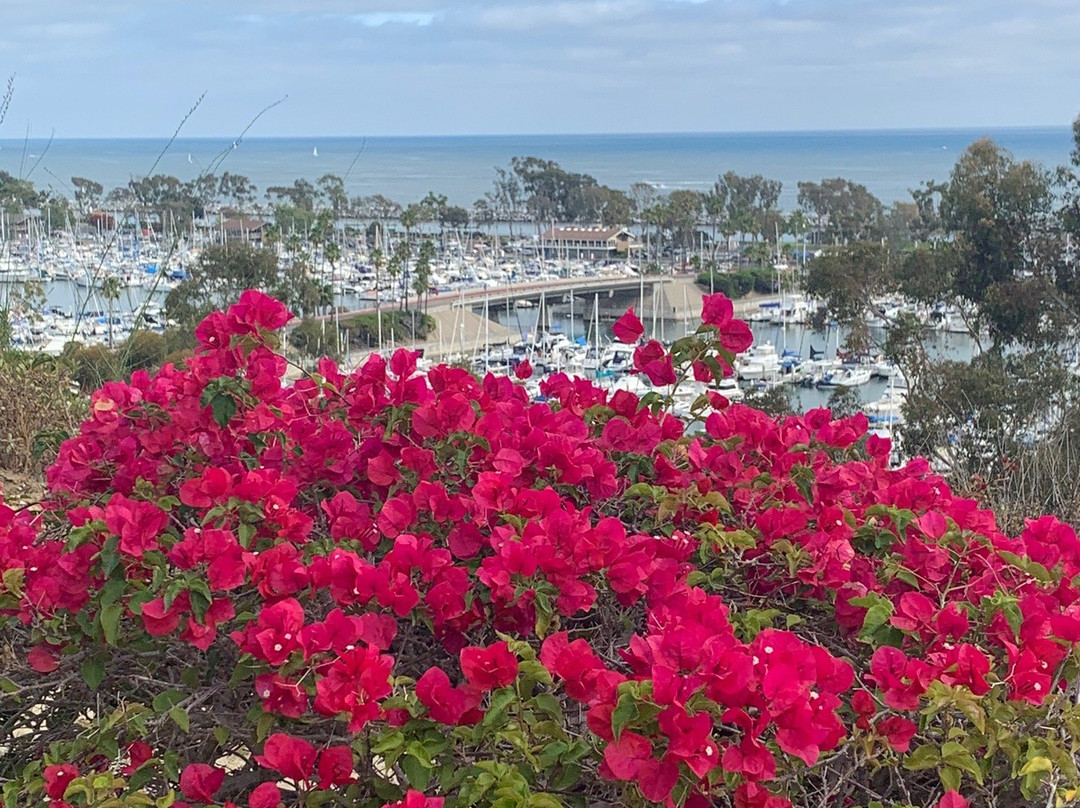 Bluff Top Trail-德纳角必去景点