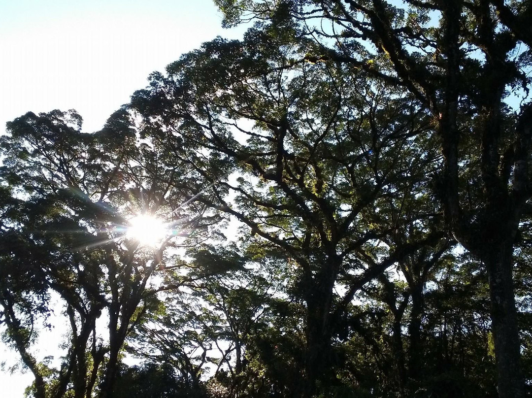 Reserva Privada El Quetzal景点图片