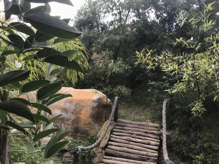 Parque Biomas景点图片