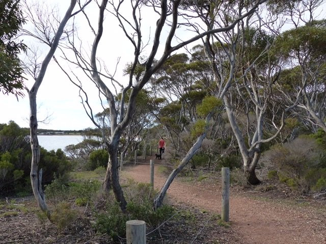 Parnkalla Walking Trail景点图片