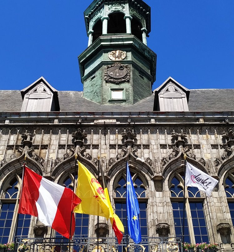 Hotel de ville景点图片