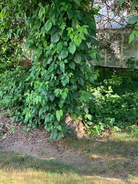 Residence Inn Shelton Fairfield County主图