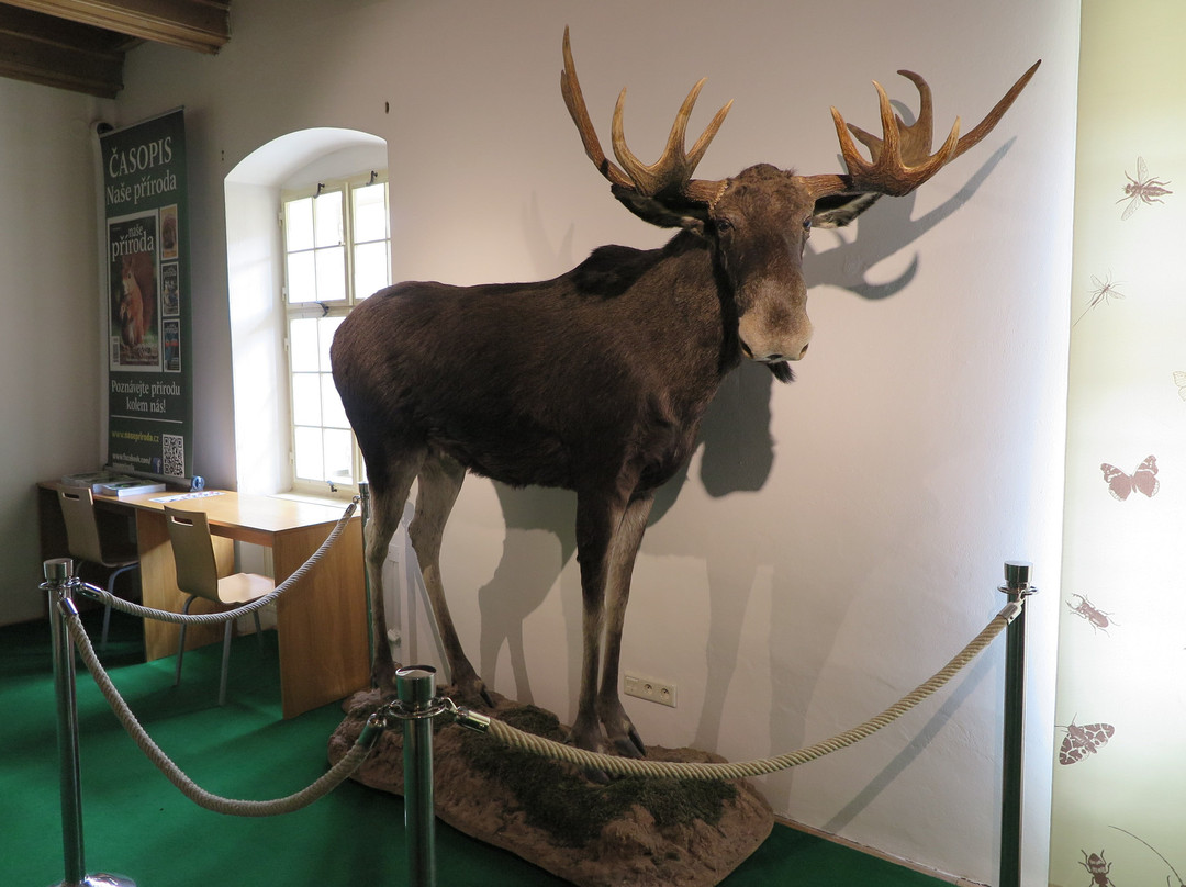 Vlastivědné muzeum v Olomouci-奥洛穆克必去景点