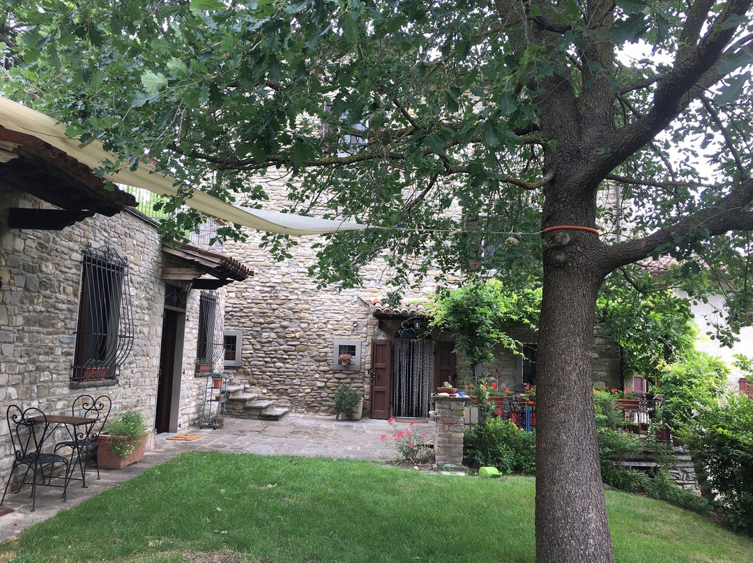 Agriturismo Pedrosola主图