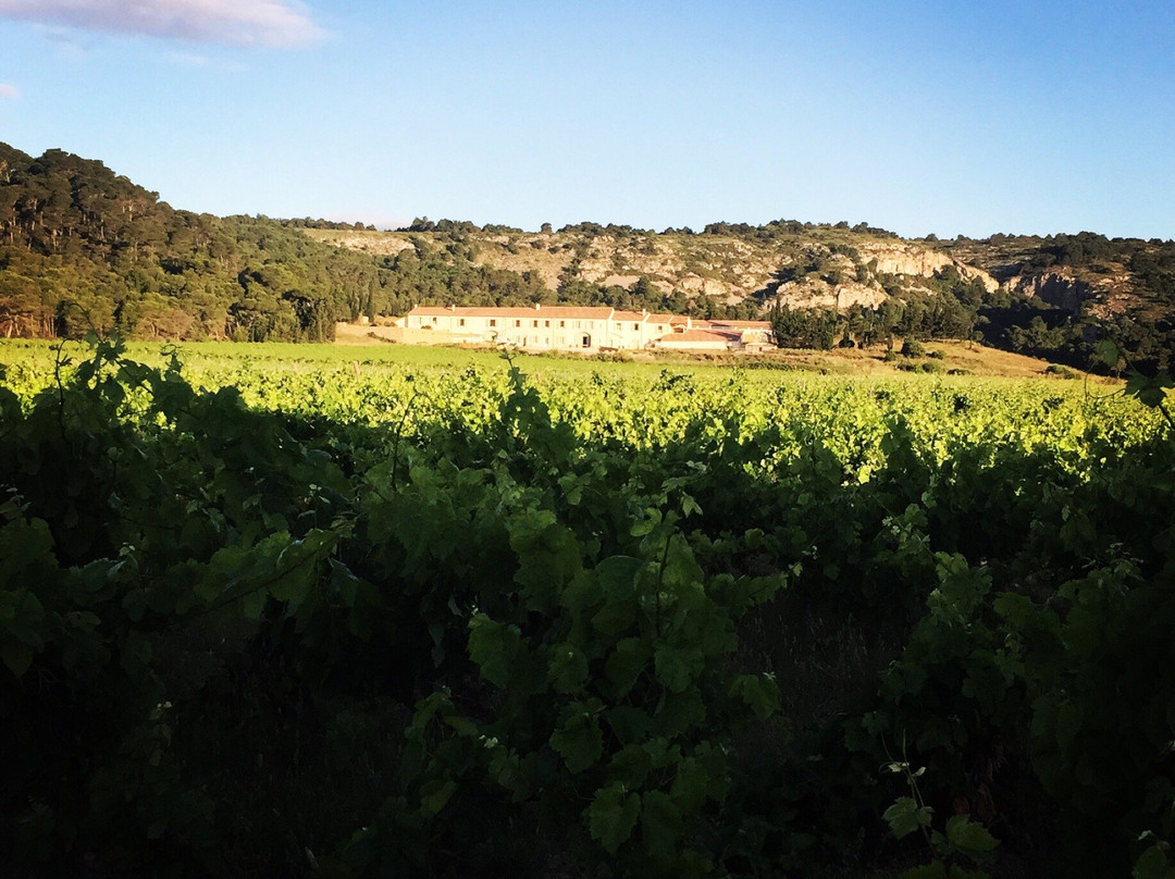 Domaine De Saint Obre主图