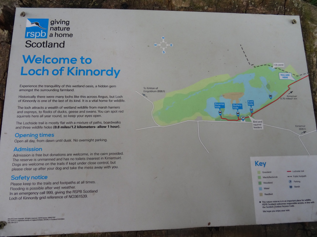 Loch of Kinnordy-Kirriemuir必去景点