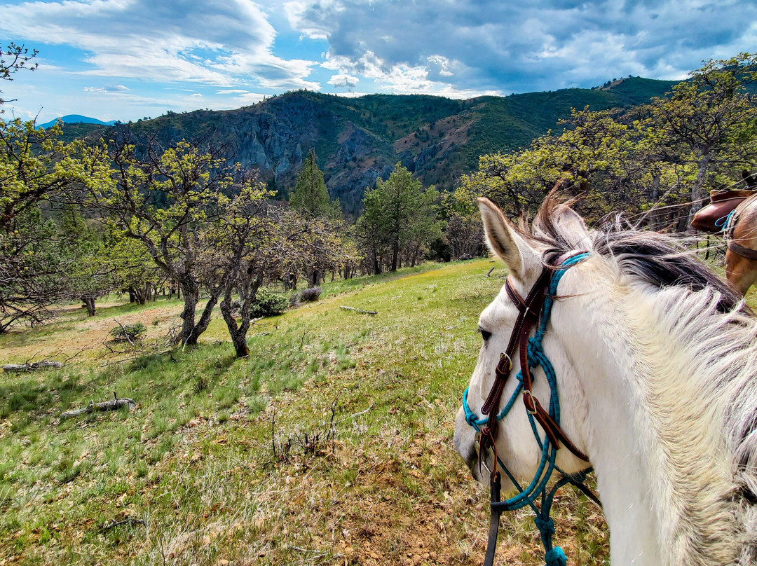 Iron Gate Ranch-Hornbrook必去景点
