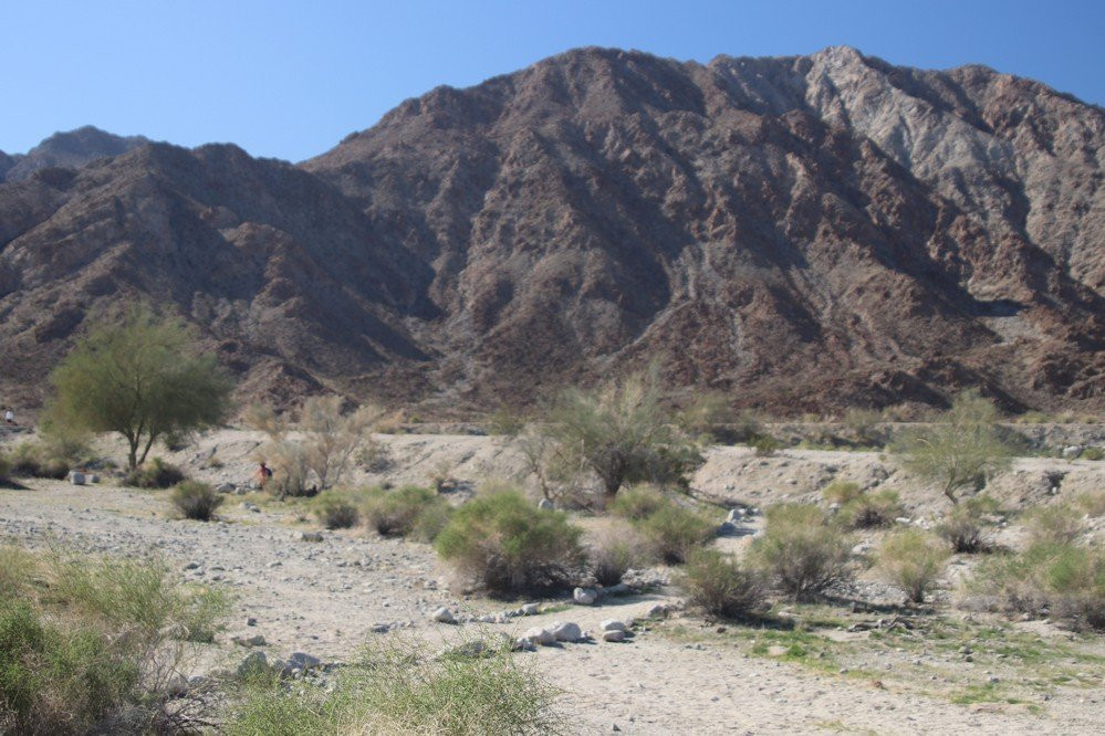 Fred Wolff Bear Creek Nature Preserve-拉金塔必去景点